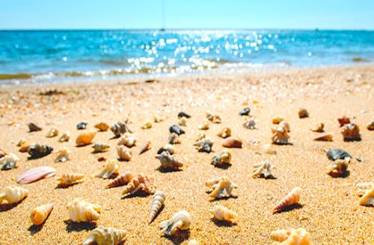 Anticipate al verano!