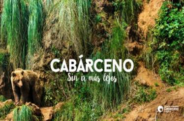 Desconecta En La Naturaleza!!